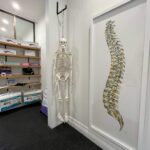 Reception area at Human Movement Co Leichhardt with modern artwork and Norton the skeleton.